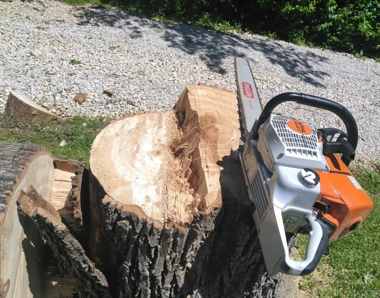 Alchemy Tree crew working on a tree service project in Arnold, MO